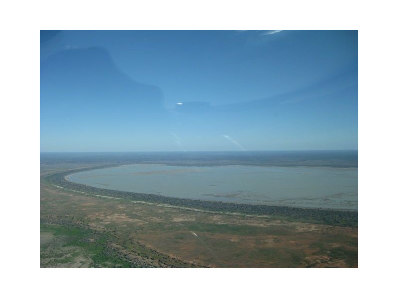 * Alma Park, Wilcannia, Cobar NSW 2835