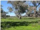 * Alma Park, Wilcannia, Cobar NSW 2835