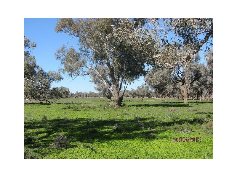 * Alma Park, Wilcannia, Cobar NSW 2835