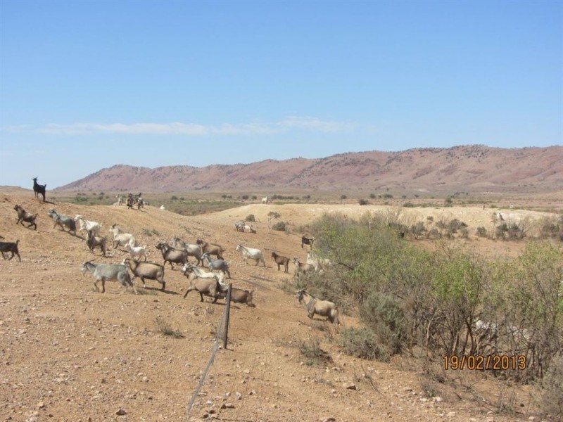 * Wonnaminta Station, Broken Hill NSW 2880