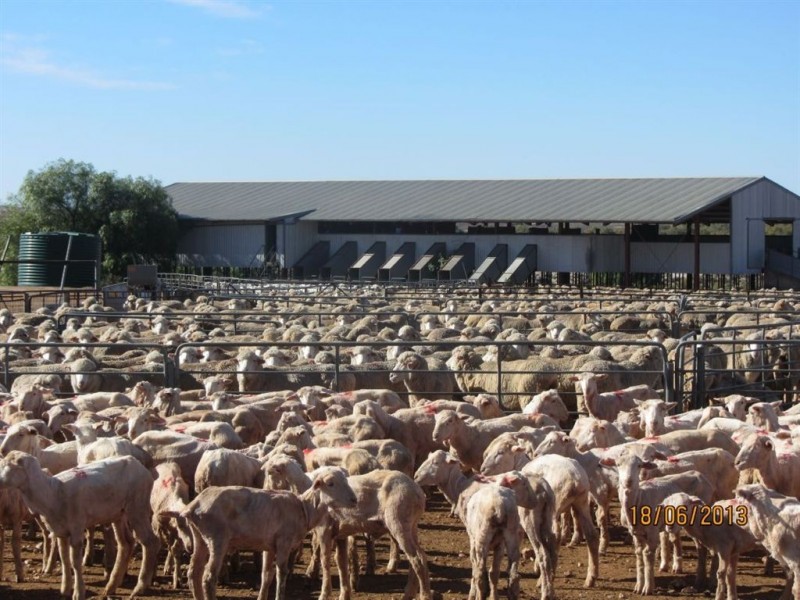 * Wonnaminta Station, Broken Hill NSW 2880