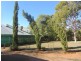 * Wonnaminta Station, Broken Hill NSW 2880