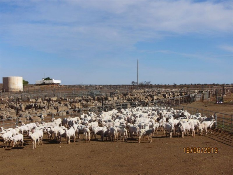 * Wonnaminta Station, Broken Hill NSW 2880