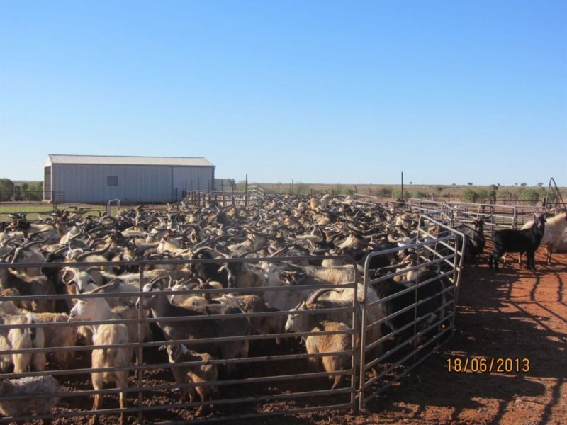 * Wonnaminta Station, Broken Hill NSW 2880