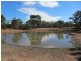 * Ironbark Station, Cobar NSW 2835