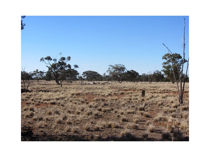 * Ironbark Station, Cobar NSW 2835