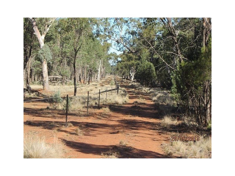* Ironbark Station, Cobar NSW 2835