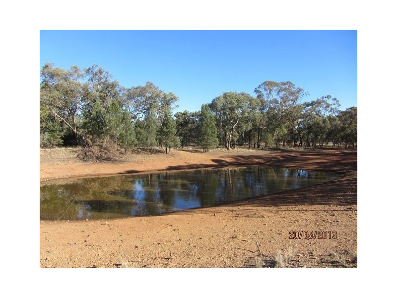 * Ironbark Station, Cobar NSW 2835