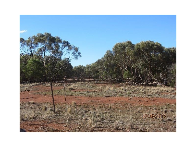 * Ironbark Station, Cobar NSW 2835