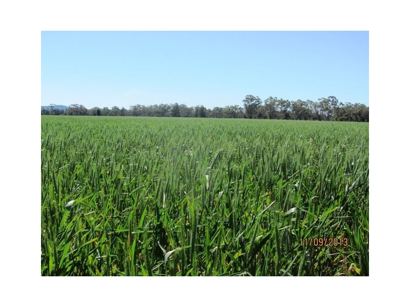 * WARRA, Cobar NSW 2835