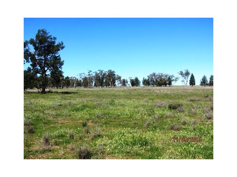 * WARRA, Cobar NSW 2835