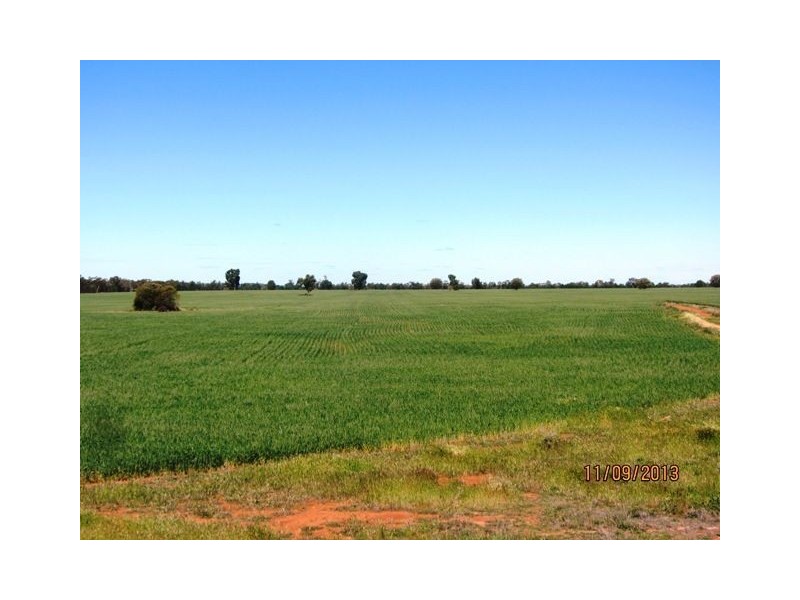 * WARRA, Cobar NSW 2835