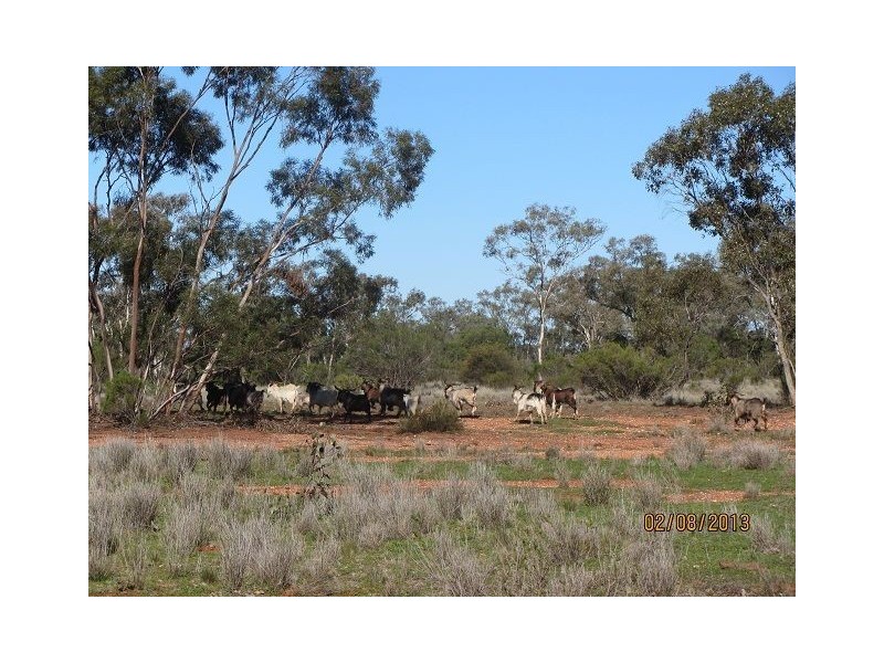* Wilga via Canbelego, Cobar NSW 2835