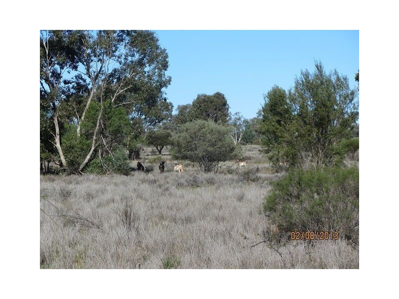 * Wilga via Canbelego, Cobar NSW 2835