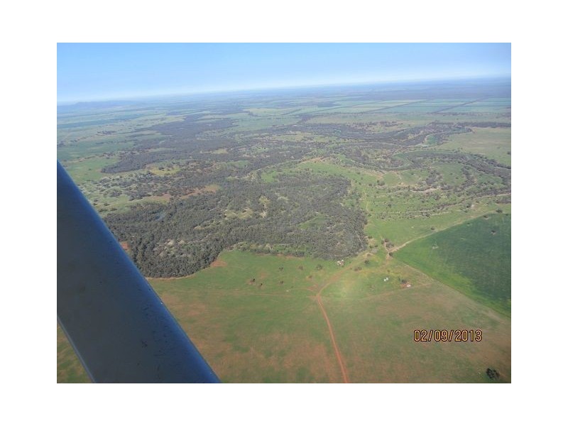* Mount Boorithumble, Lake Cargelligo, Cobar NSW 2835