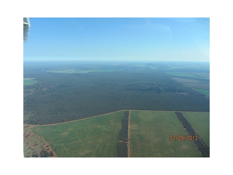 * Mount Boorithumble, Lake Cargelligo, Cobar NSW 2835