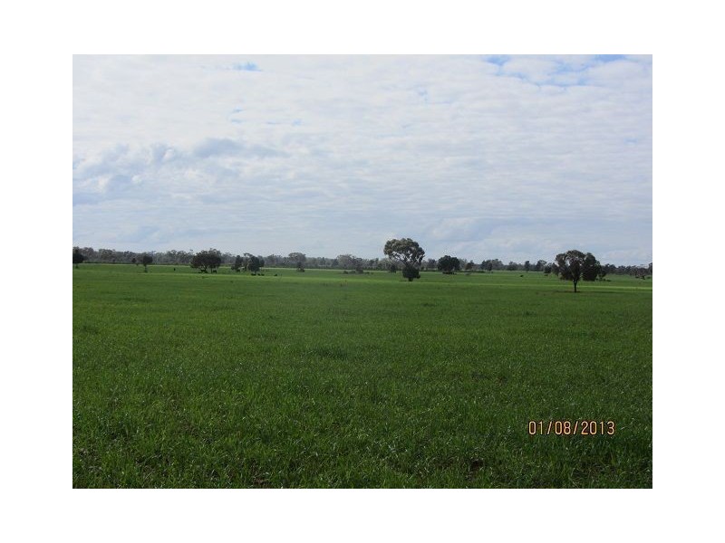 * Mount Boorithumble, Lake Cargelligo, Cobar NSW 2835