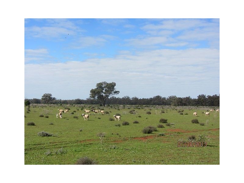 * Mount Boorithumble, Lake Cargelligo, Cobar NSW 2835