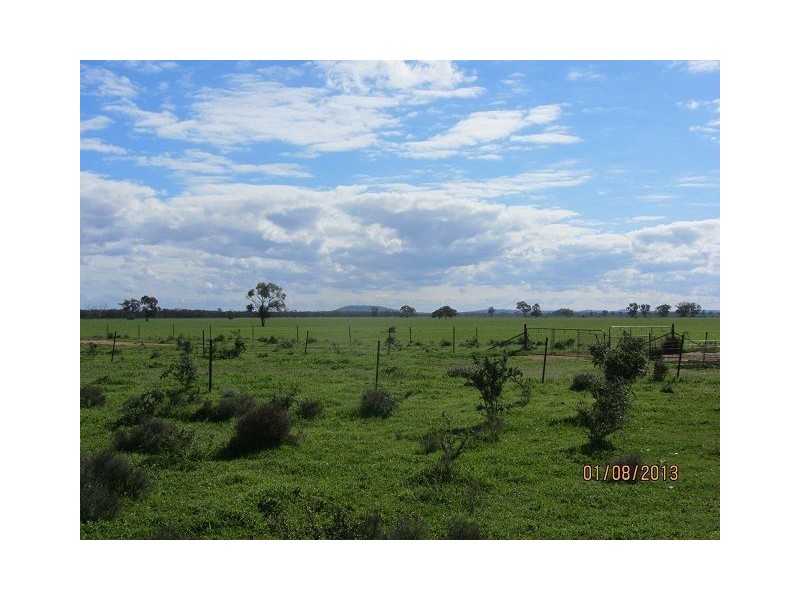 * Mount Boorithumble, Lake Cargelligo, Cobar NSW 2835