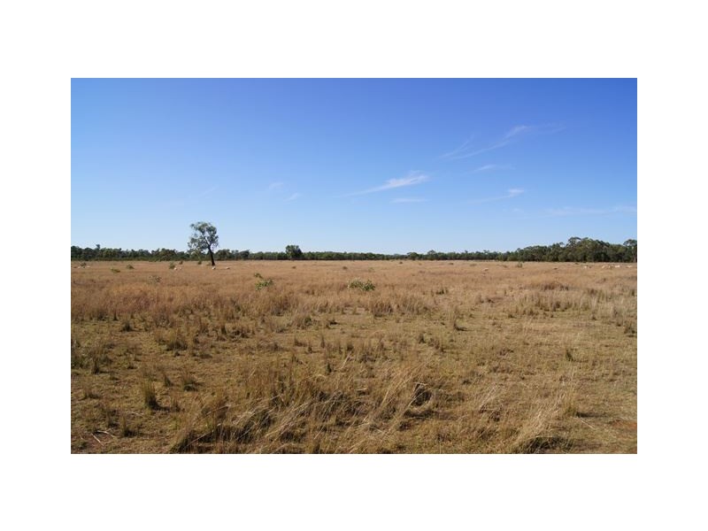 * Windera, Cobar NSW 2835