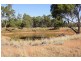 * Windera, Cobar NSW 2835