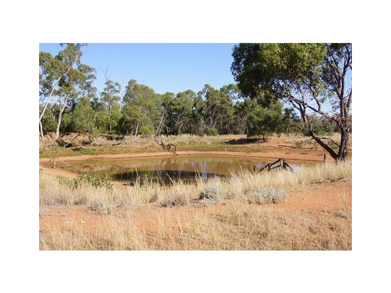 * Windera, Cobar NSW 2835