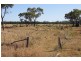 * Windera, Cobar NSW 2835