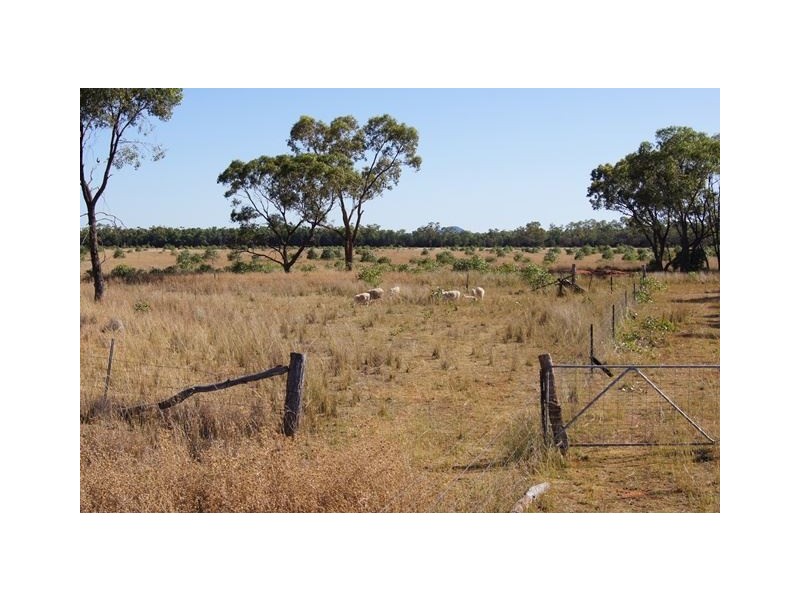 * Windera, Cobar NSW 2835