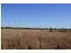 * Windera, Cobar NSW 2835