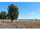 * Windera, Cobar NSW 2835