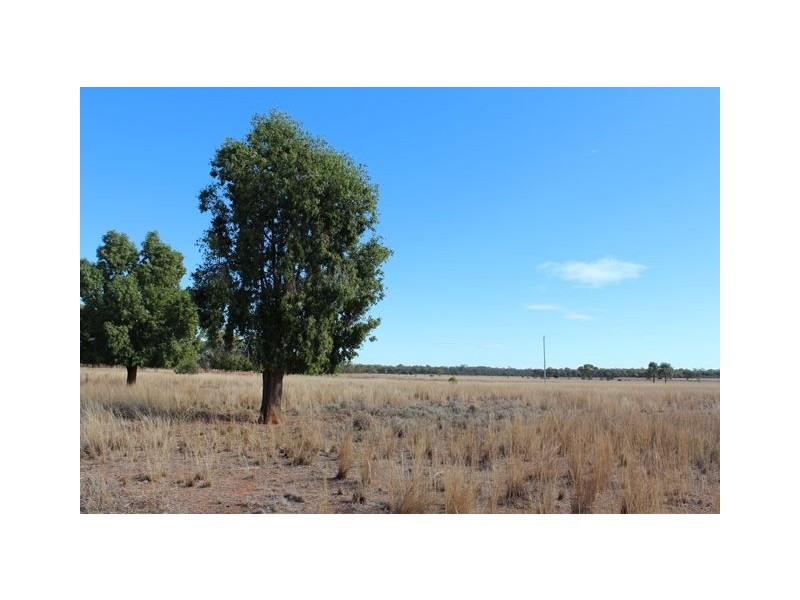 * Windera, Cobar NSW 2835