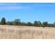 * Windera, Cobar NSW 2835
