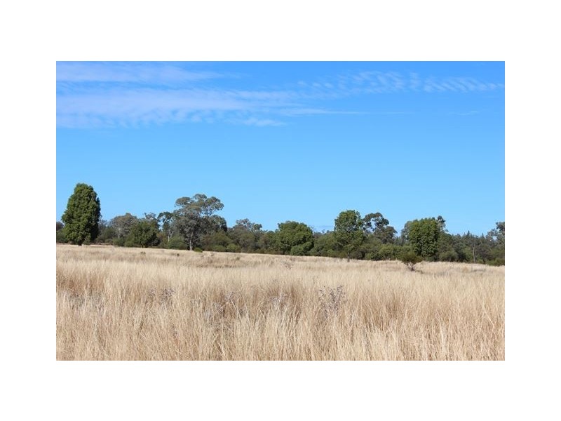 * Windera, Cobar NSW 2835