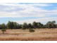 * Windera, Cobar NSW 2835