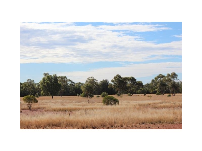 * Windera, Cobar NSW 2835