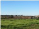 * The Bullock Paddock, Condobolin NSW 2877