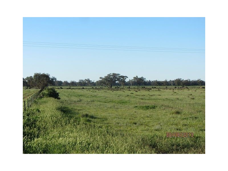 * The Bullock Paddock, Condobolin NSW 2877