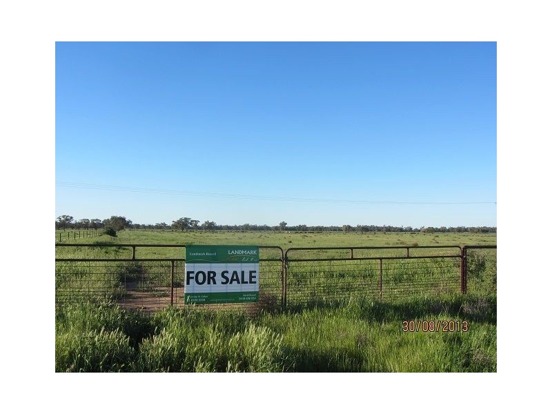 * The Bullock Paddock, Condobolin NSW 2877