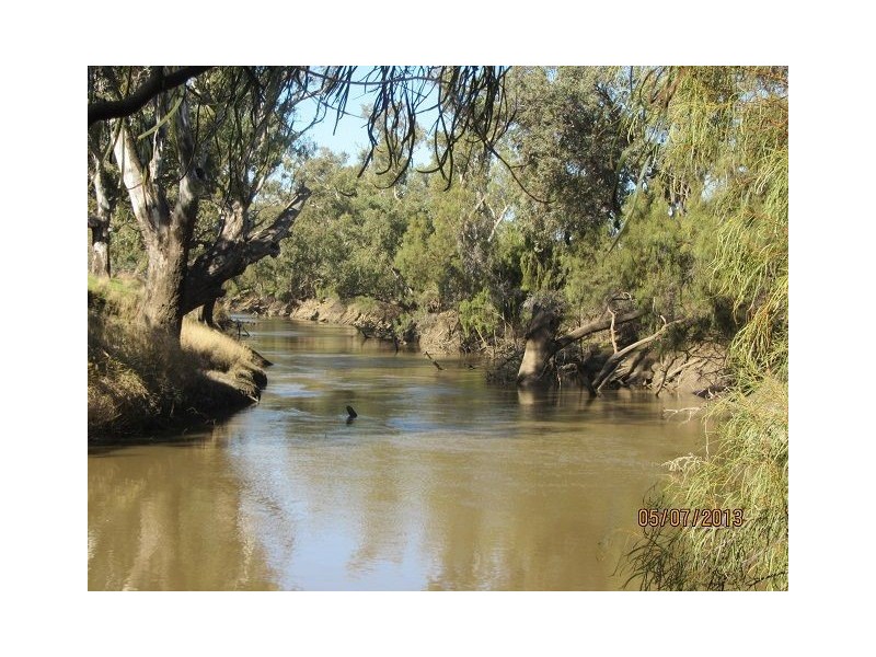 * The Bullock Paddock, Condobolin NSW 2877