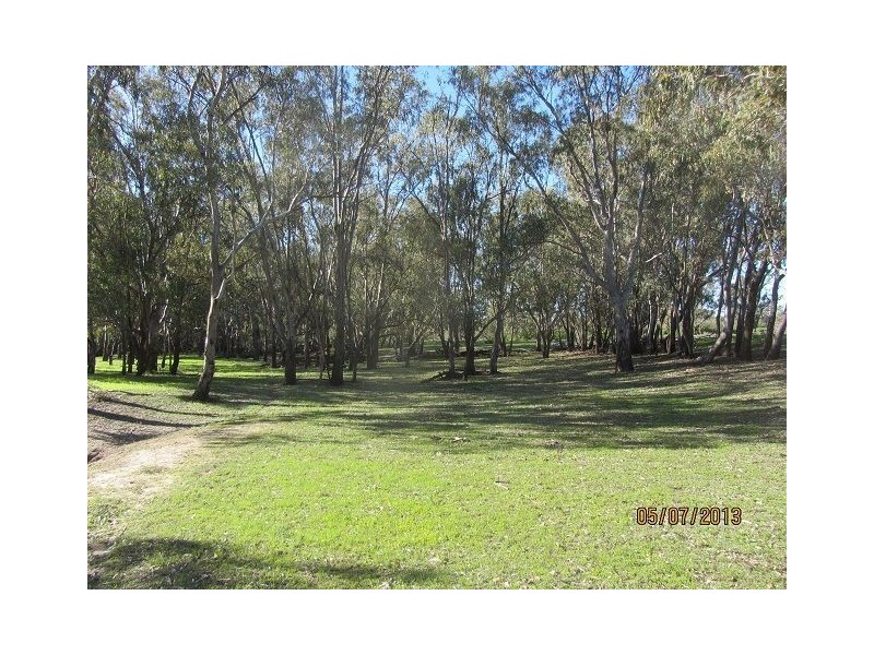 * The Bullock Paddock, Condobolin NSW 2877