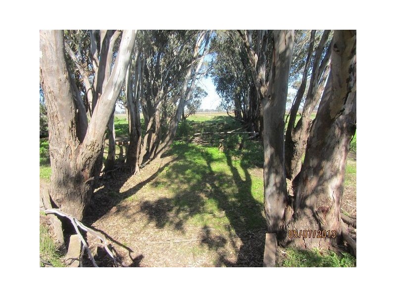 * The Bullock Paddock, Condobolin NSW 2877