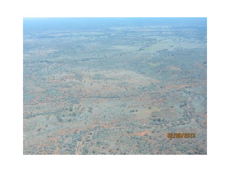 * Blue Hills, Cobar NSW 2835