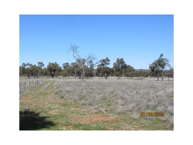 * Blue Hills, Cobar NSW 2835
