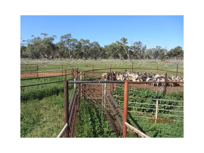 * Blue Hills, Cobar NSW 2835