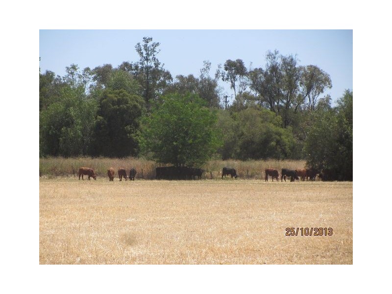 * Onavale, Cobar NSW 2835