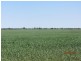 * Tara Additional, Condobolin NSW 2877