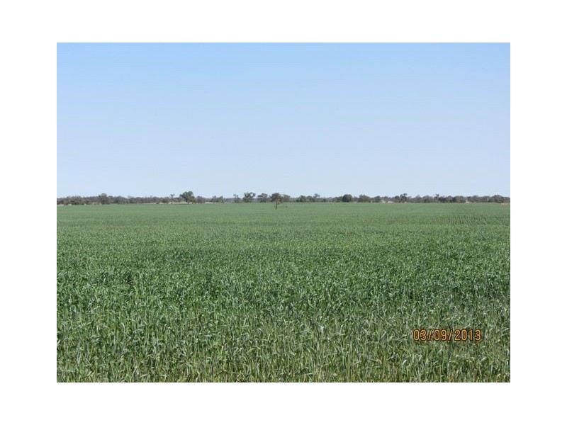 * Tara Additional, Condobolin NSW 2877