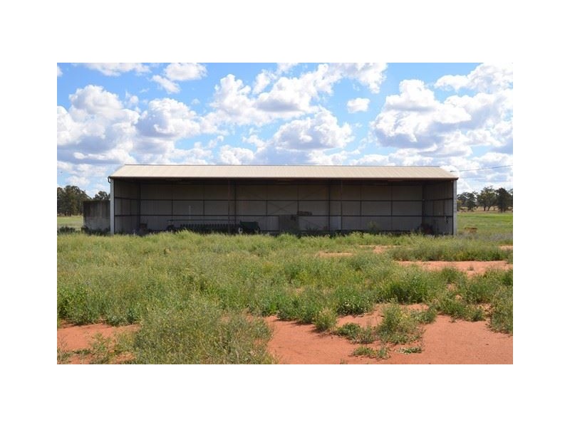 * Tara Additional, Condobolin NSW 2877