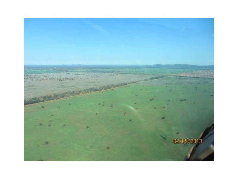 * Tara Additional, Condobolin NSW 2877