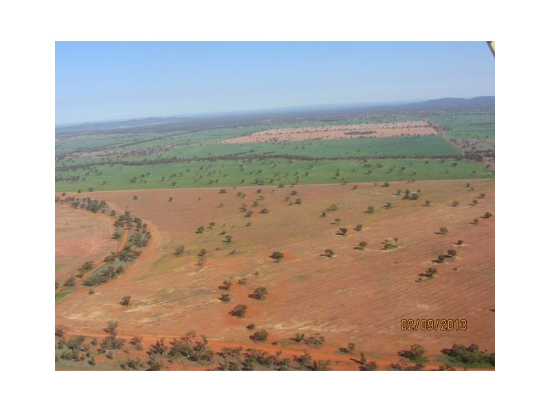 * Tara Additional, Condobolin NSW 2877